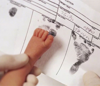 孕妇梦见鸭子什么意思，杭州代怀孕梦到鸭子是生男还是生女？